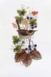 Wren on a Spray of Berries